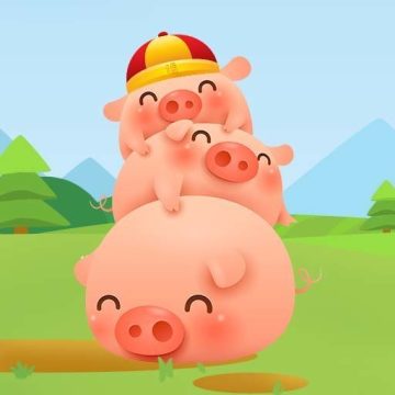 养猪场的阳光