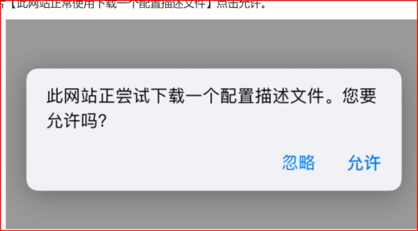 age动画app