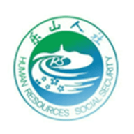 乐山医保查询app