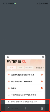 365极速浏览器