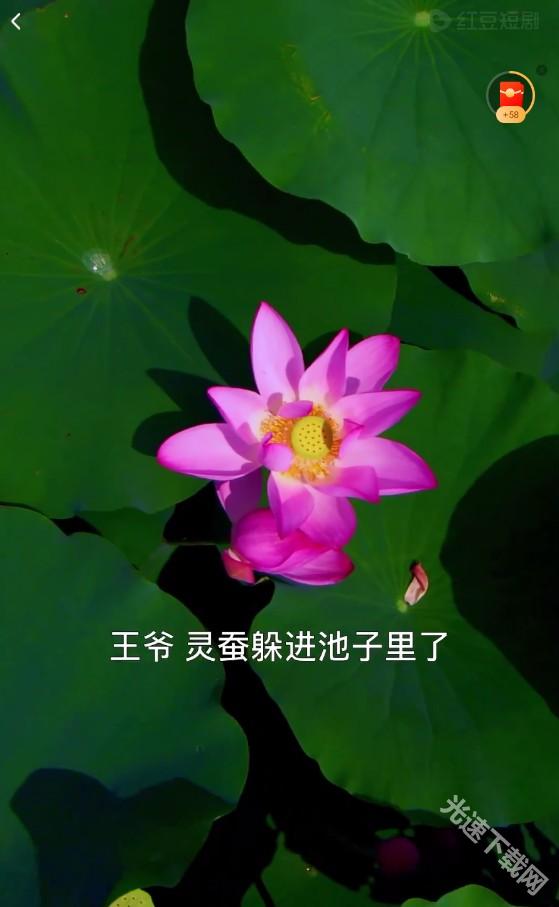 使用方法截图2