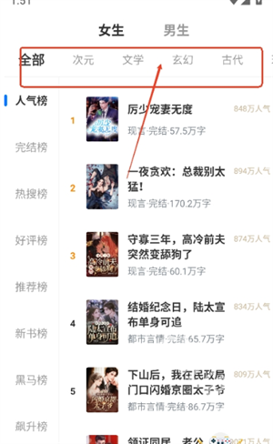 书枝小说