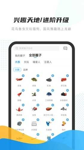 龙巅app安卓版