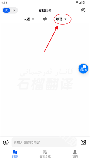 石榴翻译