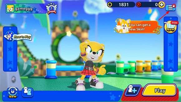 索尼克大乱斗国际服