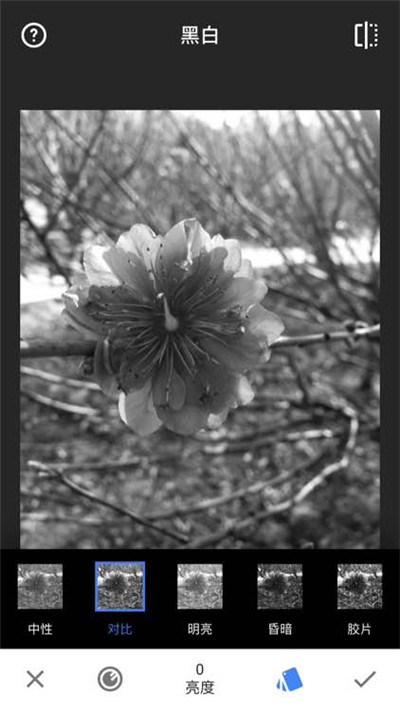 snapseed手机app安装官方正版下载-snapseed下载安装2024安卓最新版v2.22.0.633363